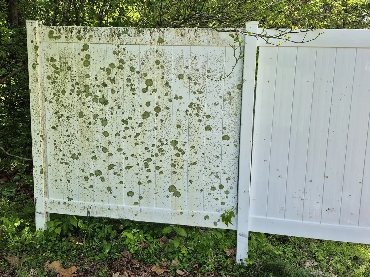 Vinyl fence half pressure washed showing algae removal in Avon, IN
